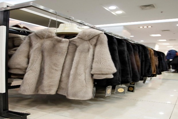 Mink found to have coronavirus on two Dutch farms: ministry Mink found to have coronavirus on two Dutch farms: ministry