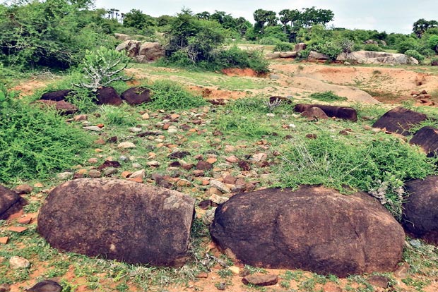 2,000-year-old burial site with 300 stone circles found near Vandavasi 2,000-year-old burial site with 300 stone circles found near Vandavasi