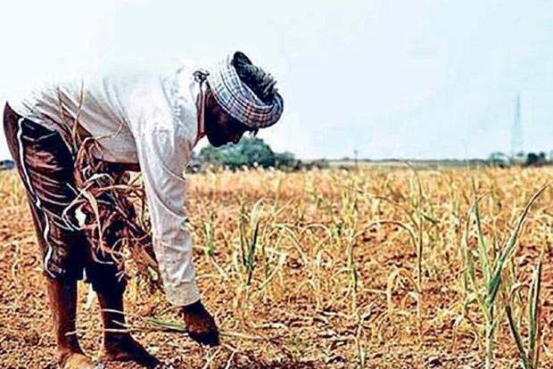 PMKSNY Scam in 13 districts: Agri Secy orders probe after non-farmers avail benefits PMKSNY Scam in 13 districts: Agri Secy orders probe after non-farmers avail benefits