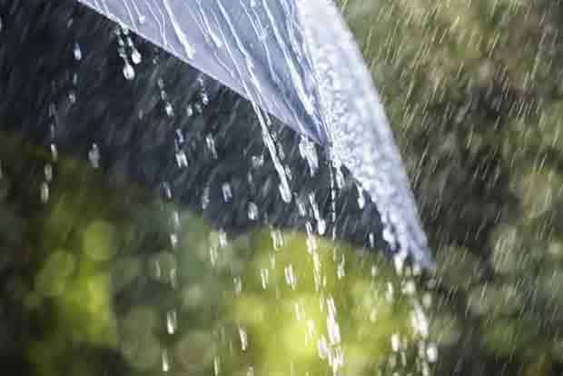 Heavy rains kill 24 in Pakistan