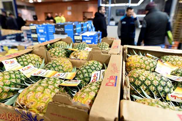 Mounting losses add to Kerala pineapple growers stress