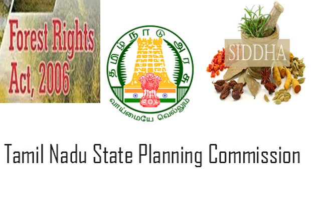 ‘Focus on herbal med to fight comorbidity’