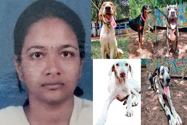 13 dogs rescued after woman’s murder near Gummidipoondi, suspects at large