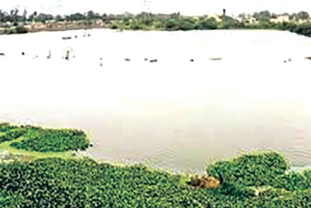 Bids invited for suspension bridge across Villivakkam lake