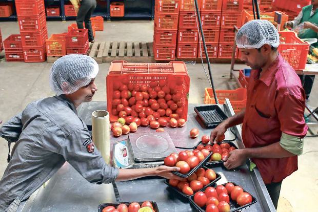 Tata on the verge of putting eggs in BigBasket, majority stake worth USD 1 bn