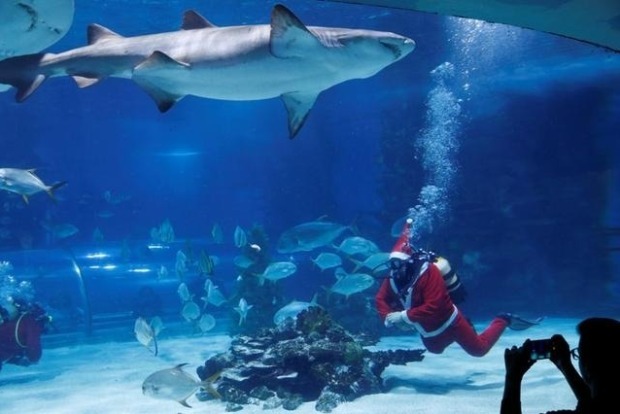 Submarine Santa brings festive cheer to Tokyo aquarium Submarine Santa brings festive cheer to Tokyo aquarium