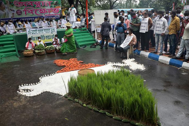 Explainer: The 3 farm laws at heart of the dispute