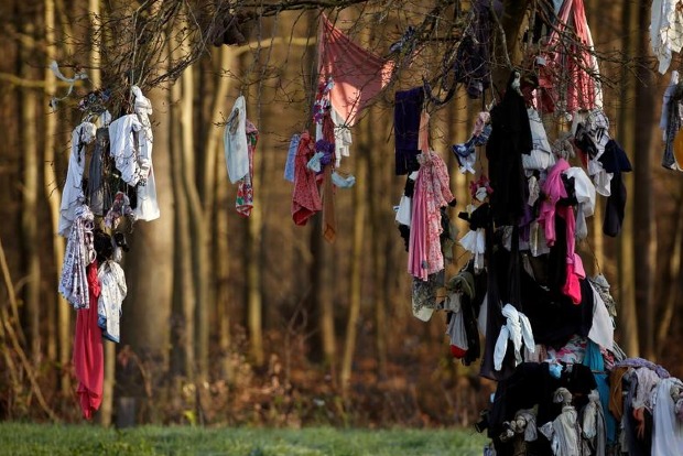 COVID masks adorn healing trees in updated pagan rite