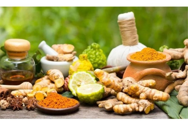 Allopathy Doctors Withdraw Normal Services For 12-Hours in Tamil Nadu