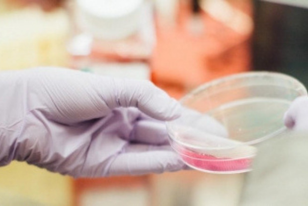 Bursting myths about egg freezing