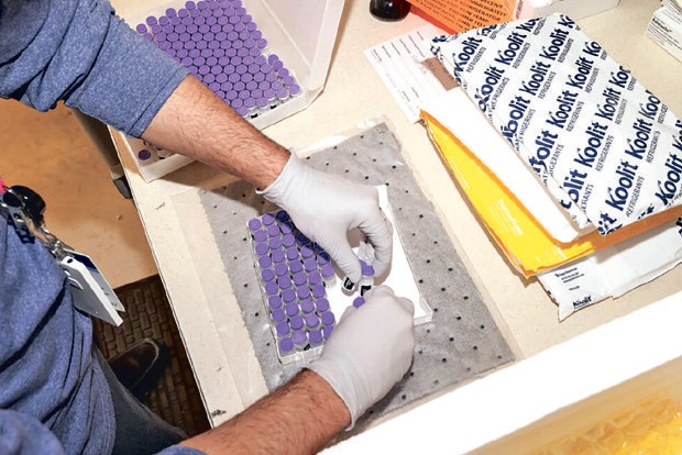 Resetting the reputation of pharma sector Resetting the reputation of pharma sector