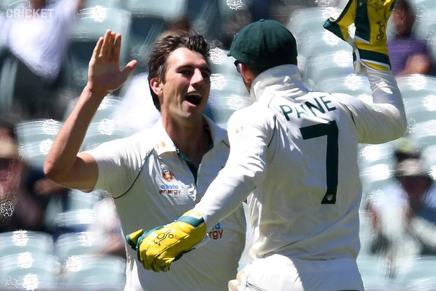Adelaide Test: Australia beat India by 8 wickets, lead series 1-0