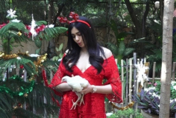 Adah Sharma urges people to turn vegetarian