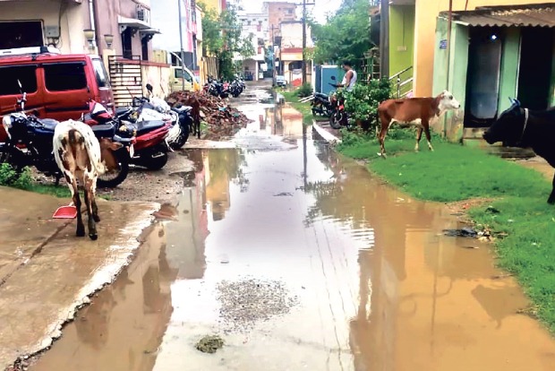 73 streets in flood-prone areas to get new SWDs