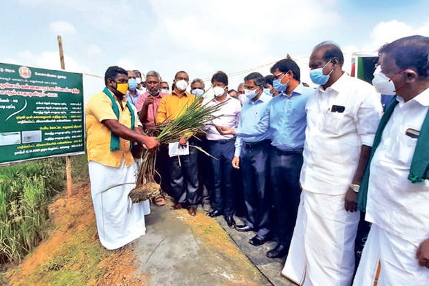 Expedite crop relief disbursal: Delta farmers to Central team