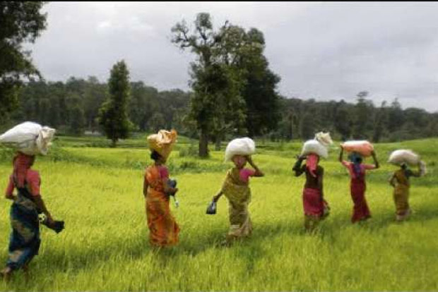 Farm markets need to be liberalised: FM