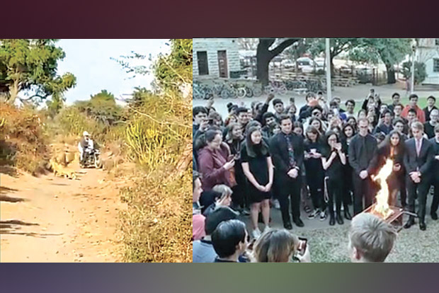 Trending in TN: Japanese smitten by Bengali, University mourns brother fishs death, Well-behaving lions