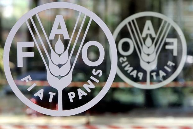 World food prices continue to climb in January: UN FAO World food prices continue to climb in January: UN FAO