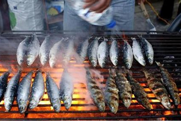 Key fish fatty acids a dream for 70 pc  of worlds population