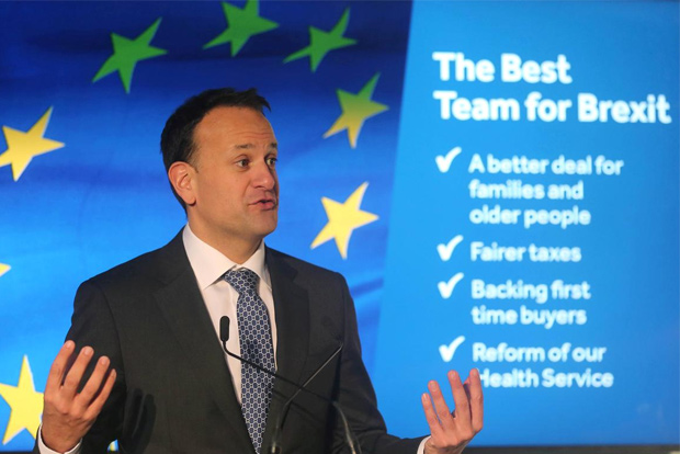 Factbox: Whos who in Irelands national election