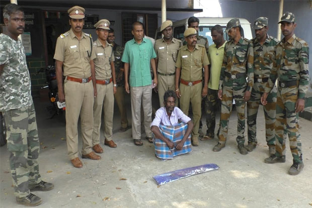 1-year-old crocodile killed for meat, one held in Mettupalayam