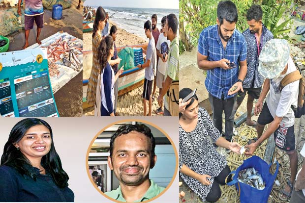 Identify new fish species at curated walks inside city’s busy fish markets