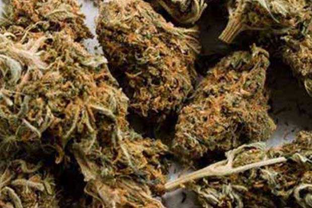 Zambia arrests 7 people for trafficking over 4 tons of cannabis, including foreigners Zambia arrests 7 people for trafficking over 4 tons of cannabis, including foreigners