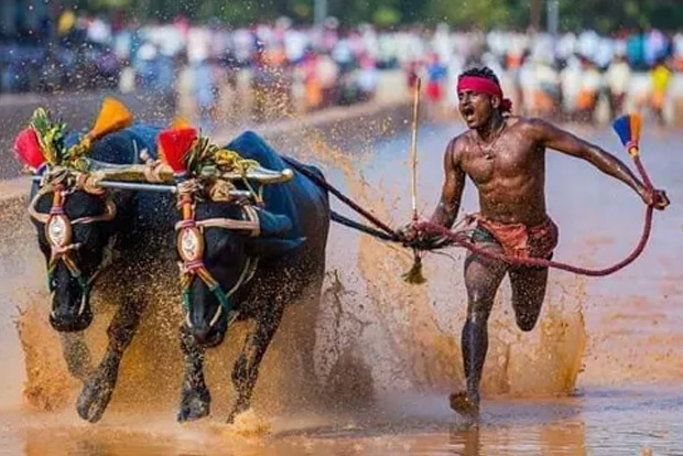 Rijiju calls Indias Usain Bolt Srinivasa Gowda for trials