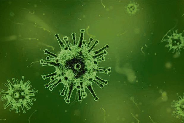 4 Indians being treated for COVID-19 on Diamond Princes 4 Indians being treated for COVID-19 on Diamond Princes