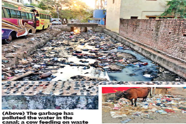 Citizen connect: Residents dump waste into canal on Rajaji Street in absence of garbage bins Citizen connect: Residents dump waste into canal on Rajaji Street in absence of garbage bins