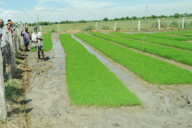 Thanjai farmers hail protected agri zone bill