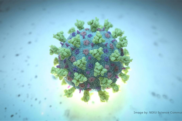 Wuhan woman with no symptoms infects five relatives with coronavirus: study