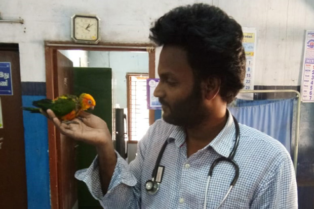 Vellore vet removes 2-inch plastic tube from bird’s throat