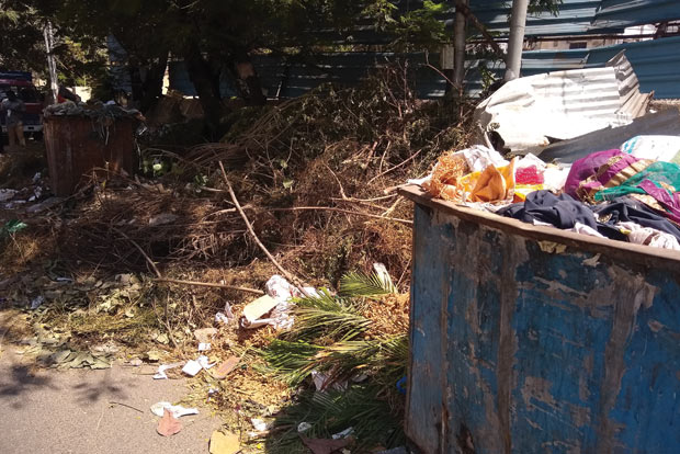 Citizen Connect: Corporation stumped as residents dump garden waste on EVK Sampath Road Citizen Connect: Corporation stumped as residents dump garden waste on EVK Sampath Road