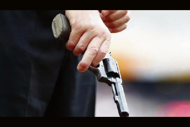 California proposes task team to curb gun-related domestic violence