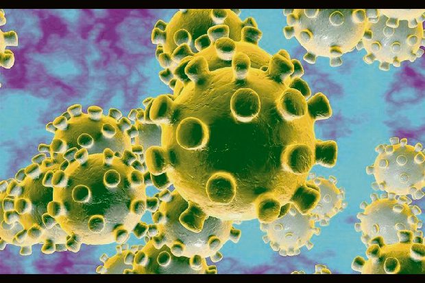 Scientists detail early lung infection in COVID-19 patients