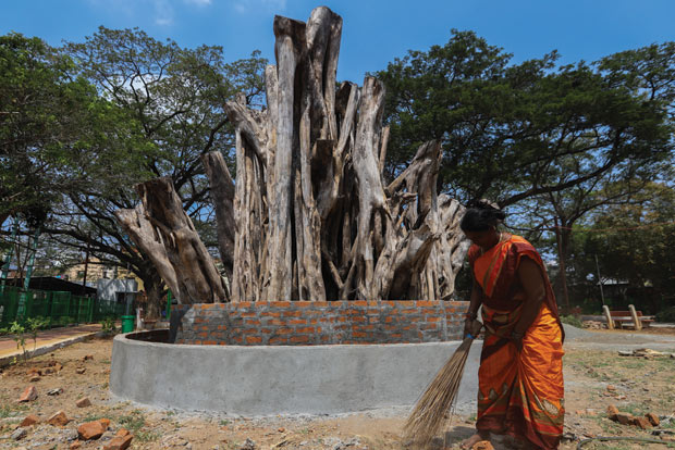 When a mighty tree falls, residents build a memorial