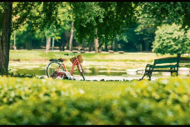 Green space can reduce violent crime in cities Green space can reduce violent crime in cities