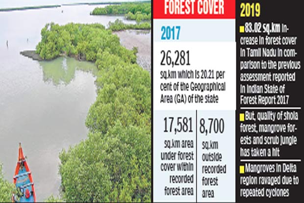 Economic forestry increases green cover by 0.32 pc in state