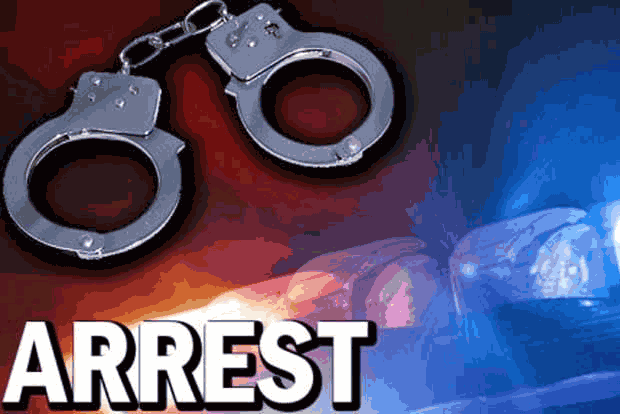 Teen girl held for bike theft bid