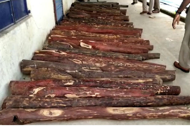 11 tonnes of red sanders logs seized at Maraimalai Nagar
