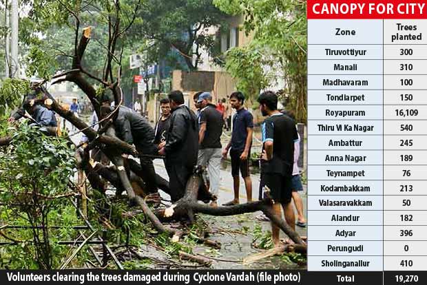City Corpn enlists corporates, residents to rebuild green cover