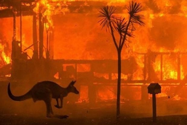 Hundreds arrested for deliberately starting Australia bushfires