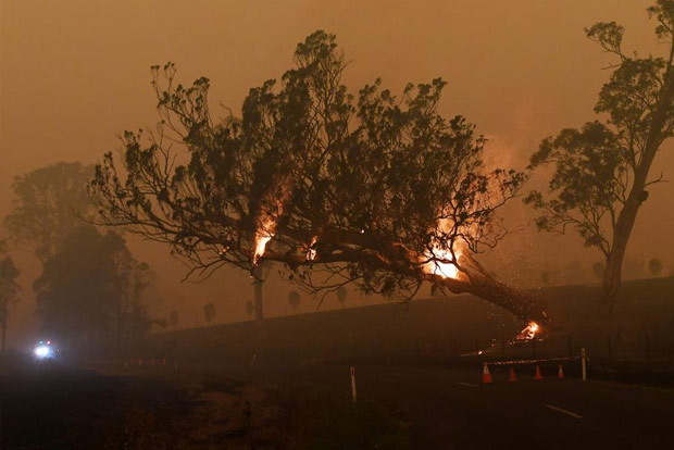Australia bushfire crisis: 24 killed, over 6 mn hectares of land burned