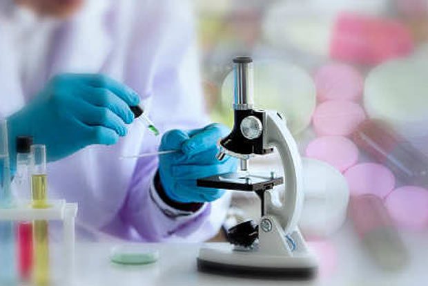 Over 300 swine flu cases reported in December alone