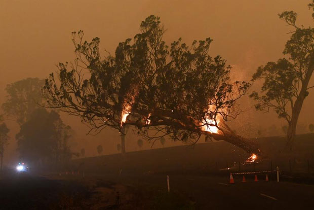 Firefighter dies as Australia works on long-term battle plan