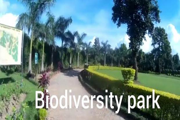 ‘TN’s largest bio park in Vellore soon﻿’