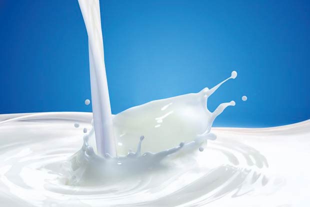 Drinking low-fat milk linked to less aging in adults Drinking low-fat milk linked to less aging in adults