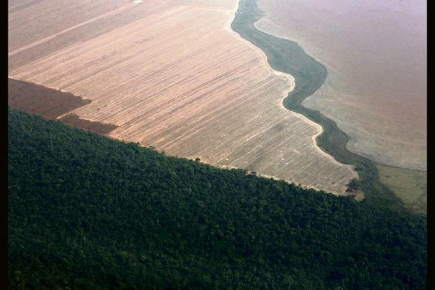 Brazil establishes Amazon Council to protect rainforest