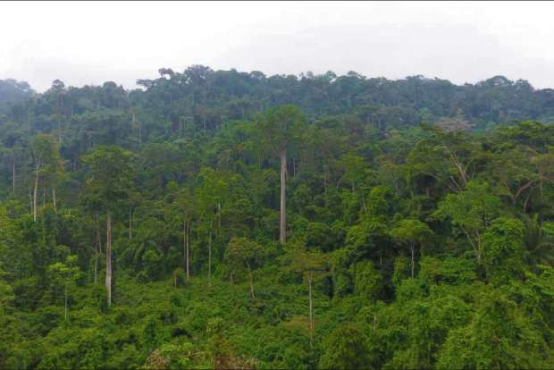 Langar Baba, Encyclopedia of forest among 118 to get Padma Shri